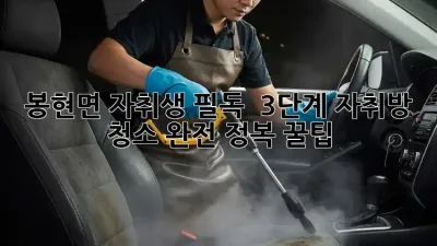 봉현면 자취생 필독! ✨ 3단계 자취방 청소 완전 정복 꿀팁 🧹